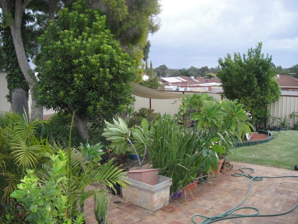 Armadale Cottage Bed & Breakfast Redcliffe Dış mekan fotoğraf